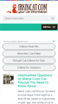 Mobile Screenshot of irkincat.com
